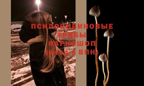 метадон Белокуриха
