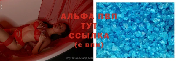 шишки Белоозёрский