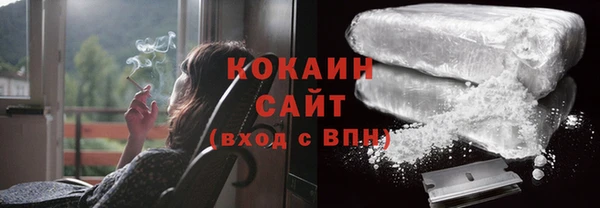 шишки Белоозёрский