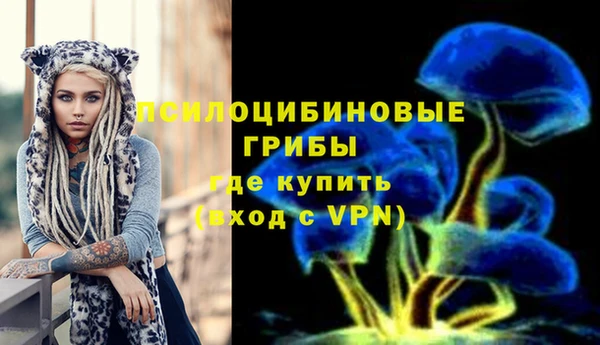 метадон Белокуриха