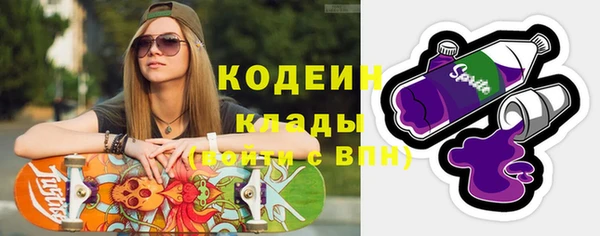 шишки Белоозёрский