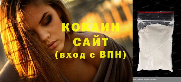 шишки Белоозёрский