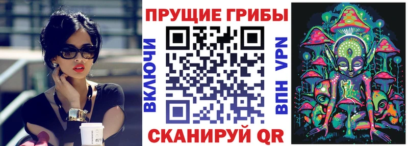 Галлюциногенные грибы Cubensis  Волосово 